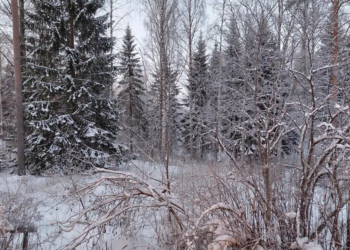 Rovaniemi Apartment With Private Sauna & Free Parking